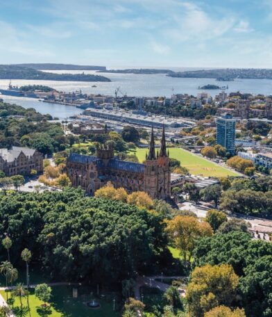 View of Sydney from rooftop of Park Regis City Centre