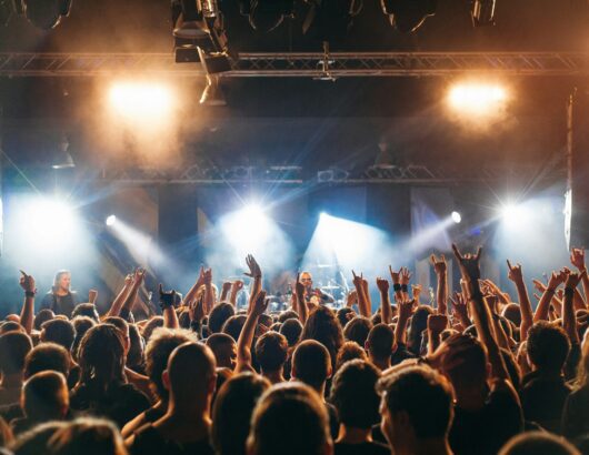 The image of the crowd in the concert